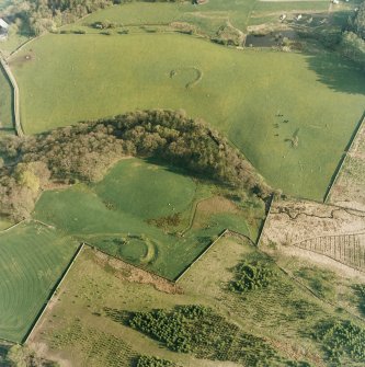 Oblique aerial view centred on the remains of the homesteads, taken from the NNW.