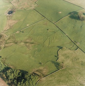 Oblique aerial view centred on the remains of the farmstead, field-system and rig with possible homestead and rig adjacent, taken from the NW.