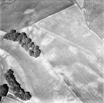 Rosebank, oblique aerial view, taken from the SSW, centred on the cropmark of a ring-ditch.