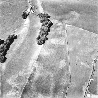 Rosebank, oblique aerial view, taken from the SSE, centred on the cropmark of a ring-ditch.