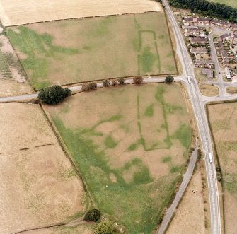 Holywood, oblique aerial view, taken from the SSE, centred on the southern cursus monument and surrounding cropmarks.