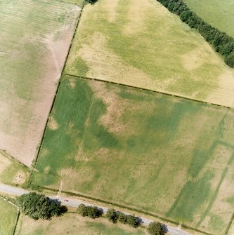 Holywood, oblique aerial view, taken from the SSE, centred on the cropmarks of the N half of the S cursus monument, and cropmarks scattered across the same field.