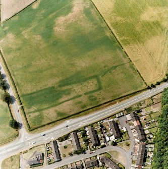 Holywood, oblique aerial view, taken from the ENE, centred on the cropmarks of the N half of the S cursus monument, and cropmarks scattered across the same field.