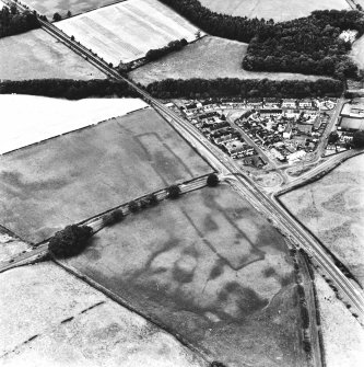 Holywood, oblique aerial view, taken from the SSW, centred on the southern cursus monument and surrounding cropmarks.