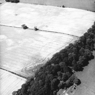 Conhuith Plantation, oblique aerial view, taken from the ESE, centred on the cropmarks of two settlement enclosures.