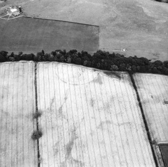 Oblique aerial view.