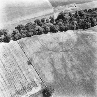 Oblique aerial view.