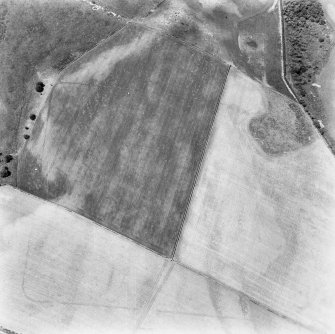 Oblique aerial view.