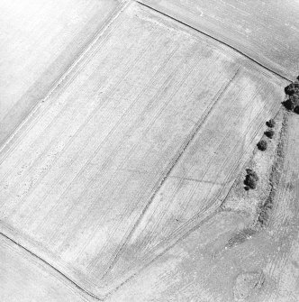 Oblique aerial view centred on the cropmarks of the Roman Temporary Camp and pit-defined cursus, taken from the W.