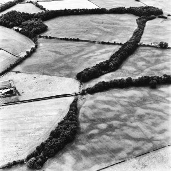 Holywood, oblique aerial view, taken from the ENE, centred on rig and linear cropmarks. The cropmark of a cursus monument are visible in the centre top half of the photograph.