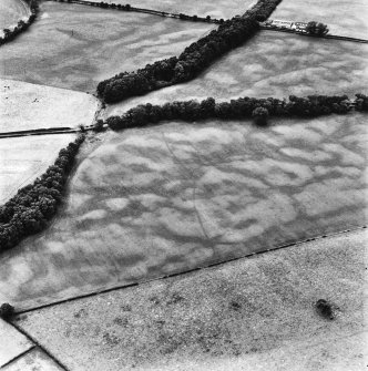 Holywood, oblique aerial view, taken from the ENE, centred on rig and linear cropmarks.