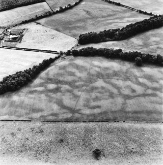 Holywood, oblique aerial view, taken from the NE, centred on rig and linear cropmarks.