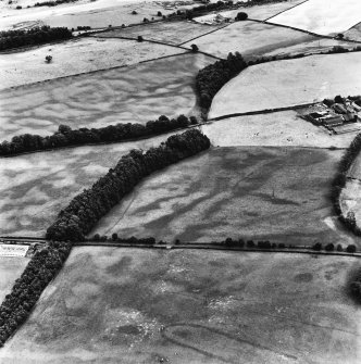 Holywood, oblique aerial view, taken from the ENE, centred on the cropmarks of a cursus monument and linear cropmarks.