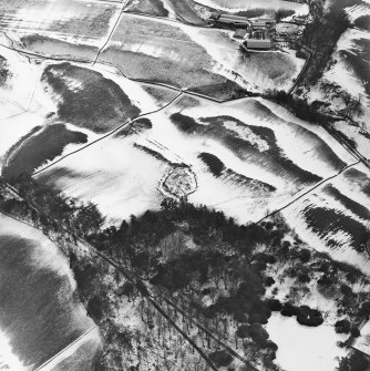 Oblique aerial view centred on the remains of the possible settlement and the plantation bank, taken from the NNE.