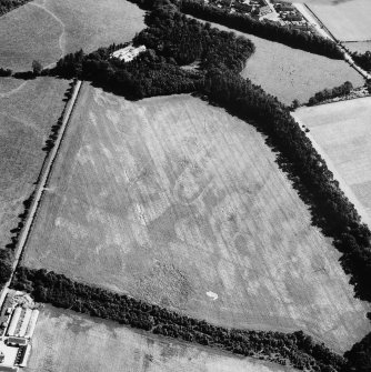 Oblique aerial view.