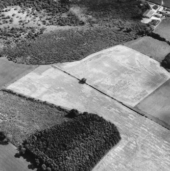 Oblique aerial view.