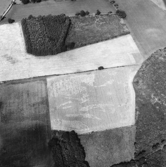 Oblique aerial view.