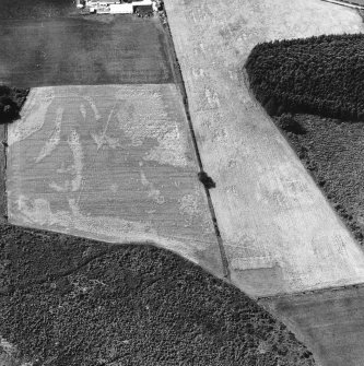Oblique aerial view.