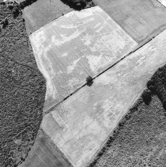 Oblique aerial view.