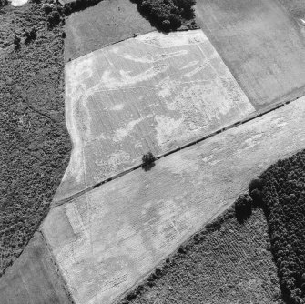 Oblique aerial view.