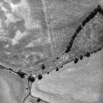 Nethermill School, oblique aerial view, taken from the N, showing the cropmark of an enclosure in the left centre of the photograph.