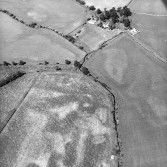 Nethermill School, oblique aerial view, taken from the SE, showing the cropmark of an enclosure in the centre of the photograph, and the School building and house in the top half.