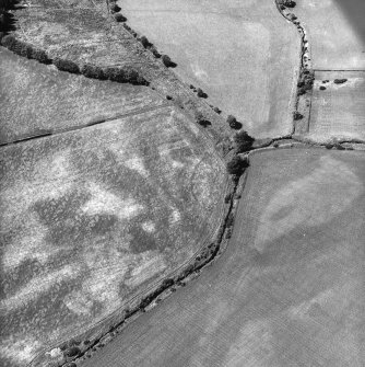 Nethermill School, oblique aerial view, taken from the E, showing the cropmark of an enclosure in the centre of the photograph.