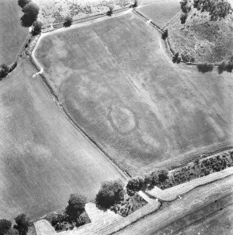 Oblique aerial view.