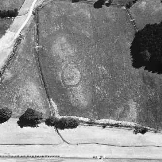 Oblique aerial view.