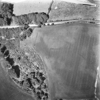 Oblique aerial view.