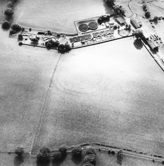 Fairholm, oblique aerial view, taken from the ENE, centred on the cropmarks of a fort.