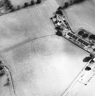 Fairholm, oblique aerial view, taken from the N, centred on the cropmarks of a fort.