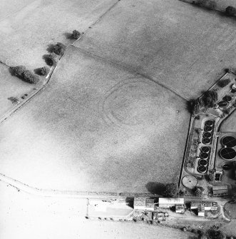 Fairholm, oblique aerial view, taken from the NW, centred on the cropmarks of a fort.