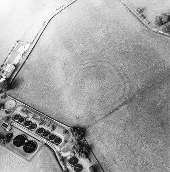 Fairholm, oblique aerial view, taken from the SW, centred on the cropmarks of a fort.