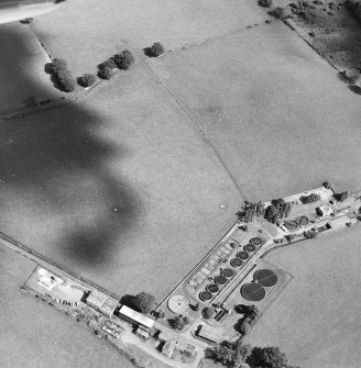 Oblique aerial view of Fairholm, taken from the W, centred on the cropmarks of a fort.