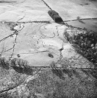 Oblique aerial view.