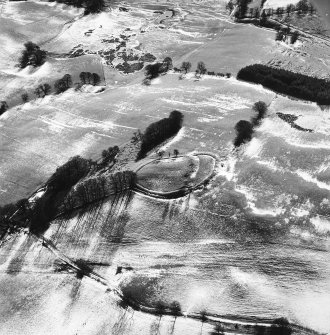 Broom Hill, oblique aerial view, taken from the NE, centred on the remains of a fort and enclosure, with cultivation remains surrounding.