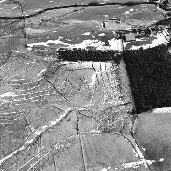 Calf Knowe, oblique aerial view, taken from the NW, centred on ring-enclosures and huts.