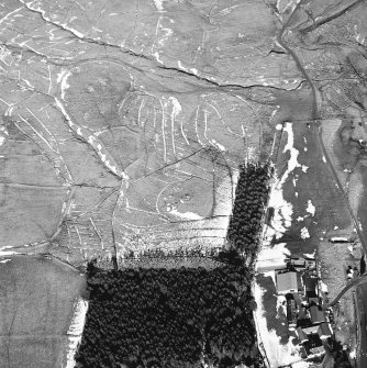 Calf Knowe, oblique aerial view, taken from the SW, centred on ring-enclosures and huts. The course of the Roman road is visible in the right half of the photograph.