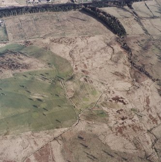 Oblique aerial view centred on the remains of the boundary banks and rig with farmstead and building adjacent, taken from the WNW.