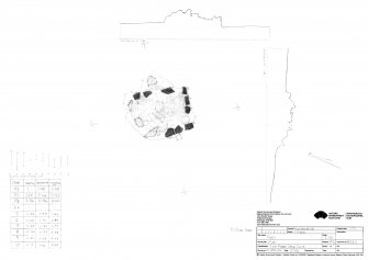 HES survey drawing: Plan of Raich