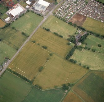 Oblique aerial view of the cropmarks at Westfield.
