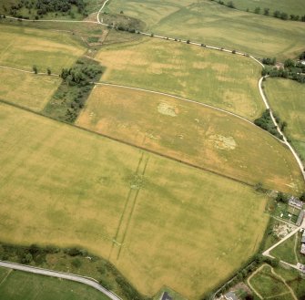 Oblique aerial view of the cropmarks at Mains of Balnagowan.
