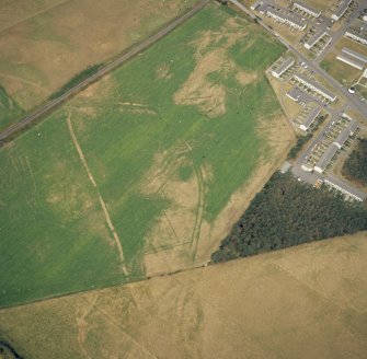 Oblique aerial view of the cropmarks at Reiketlaine.

