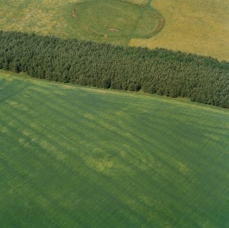 Oblique aerial of Weston henge.
