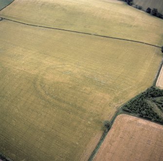 Oblique aerial photograph