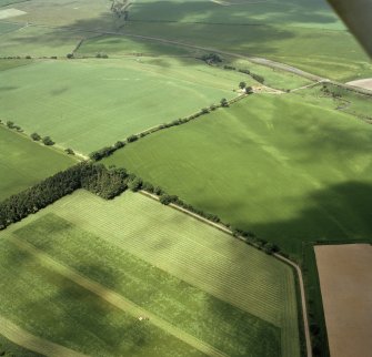 Oblique aerial view of the cropmarks of East Renton fort.