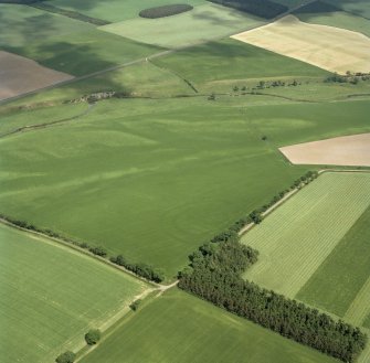 Oblique aerial view of the cropmarks of East Reston fort and Aytonlaw enclosure and linear cropmarks.