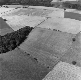 Oblique aerial view.