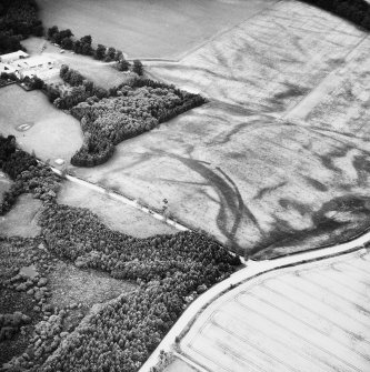 Oblique aerial view.